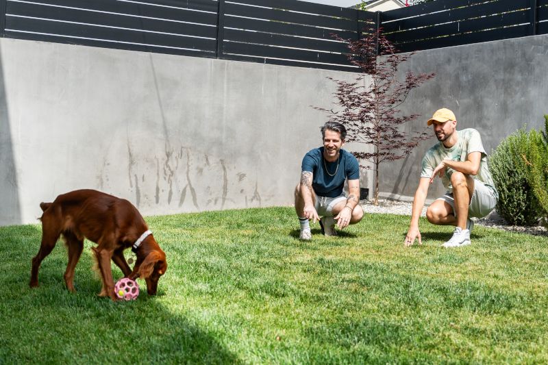 Playing with Our Dog