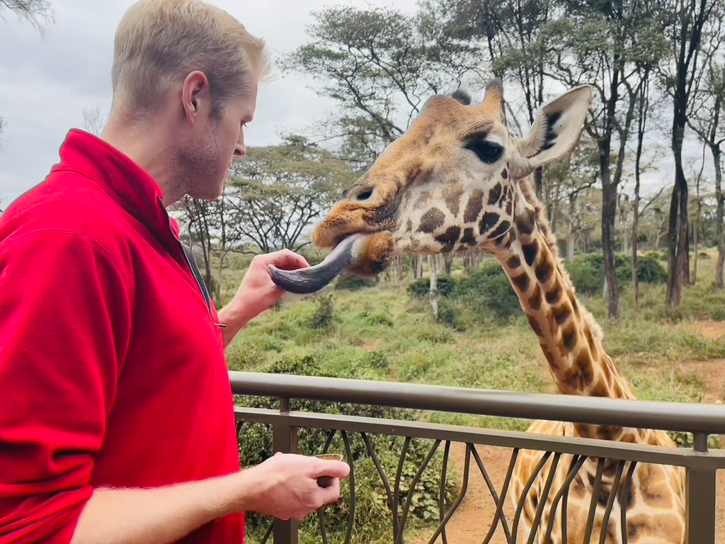 Feeding Giraffes in Kenya