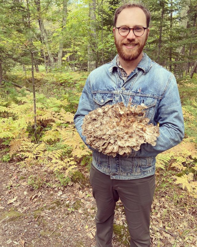 Foraging for Mushrooms in Duluth