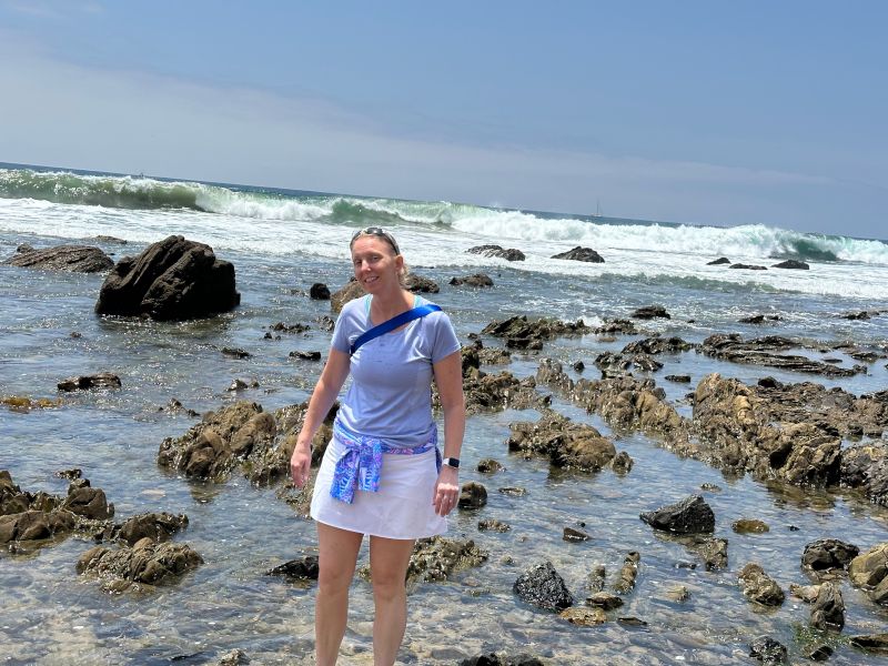 Searching for Sea Life on the Beach