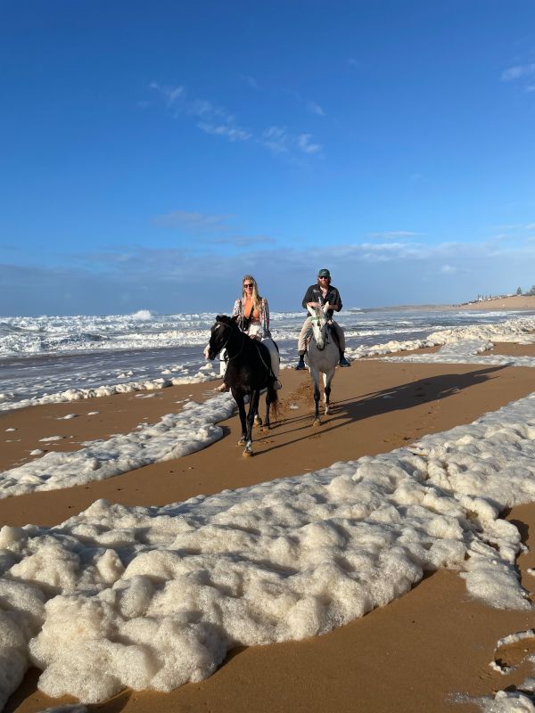 Riding Horses on the Beach in Morocco