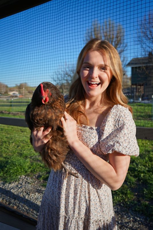 With Our Sister's Chickens
