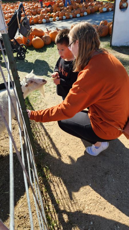 Feeding Goats at the Pumpkin Farm