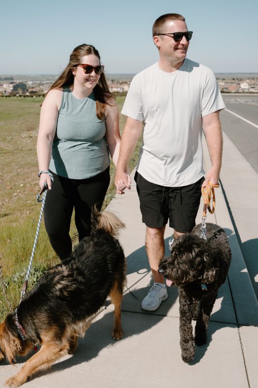 Taking Our Dogs for a Walk