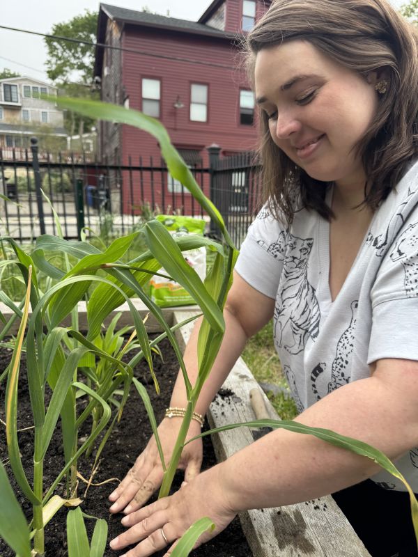Planting Corn in the Community Garden