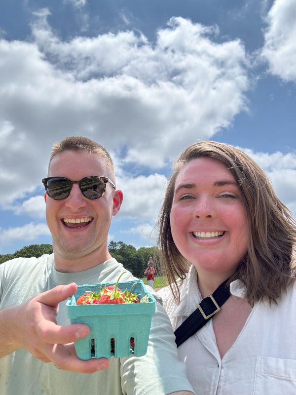 Picking Strawberries