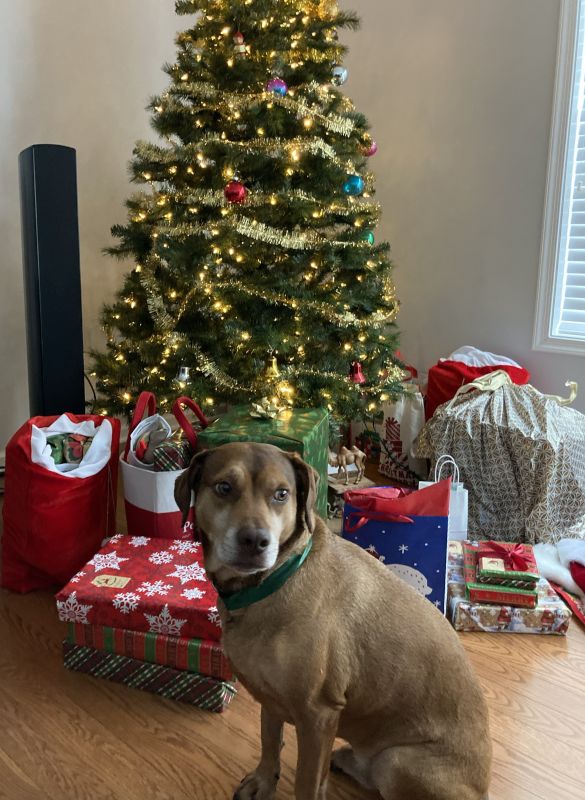 Merry Christmas!