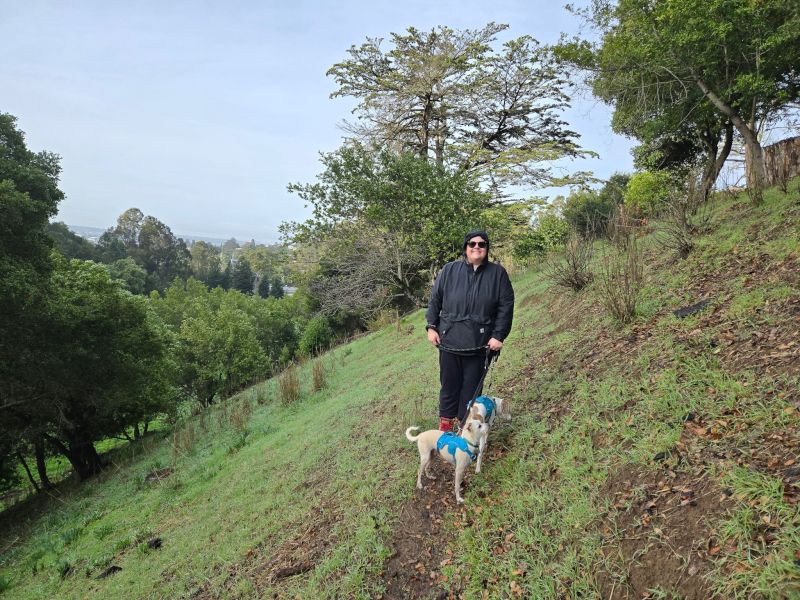 Hiking With Our Dogs