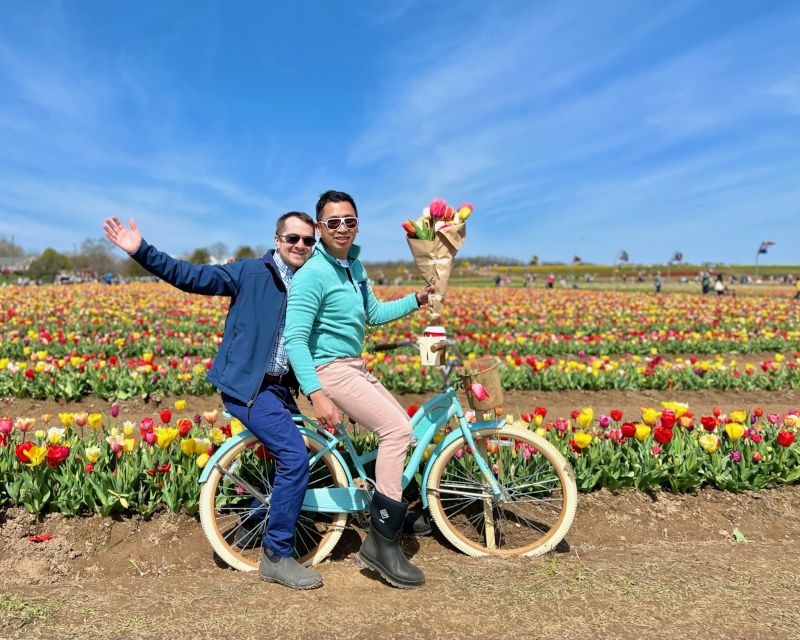 A Bike Ride in a Beautiful Tulip Field