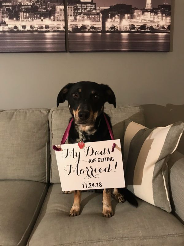 Makita and Our Engagement Announcement