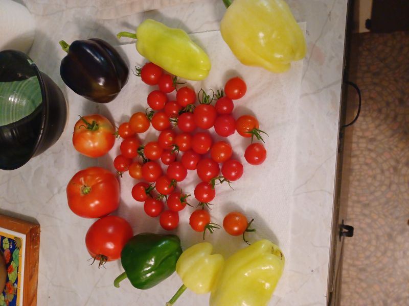 Our Fresh Ingredients from Our Garden