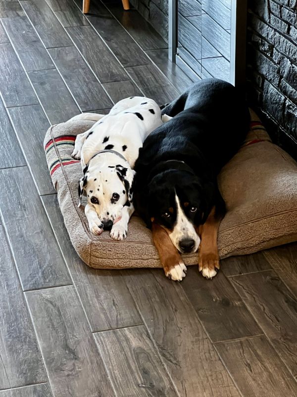 Ralph and Rainie